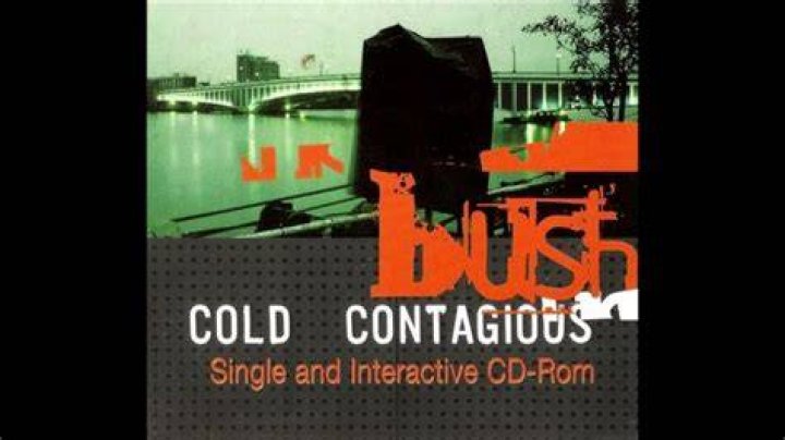 Bush - Cold Contagious Lyrics Meaning