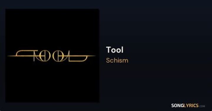 Tool - Schism Lyrics Meaning